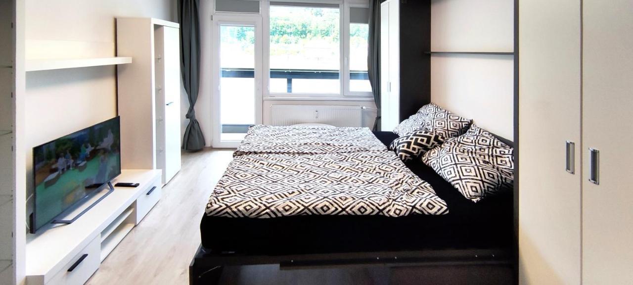 Útulný apartmán v centru, s krásným výhledem Decin Exterior foto