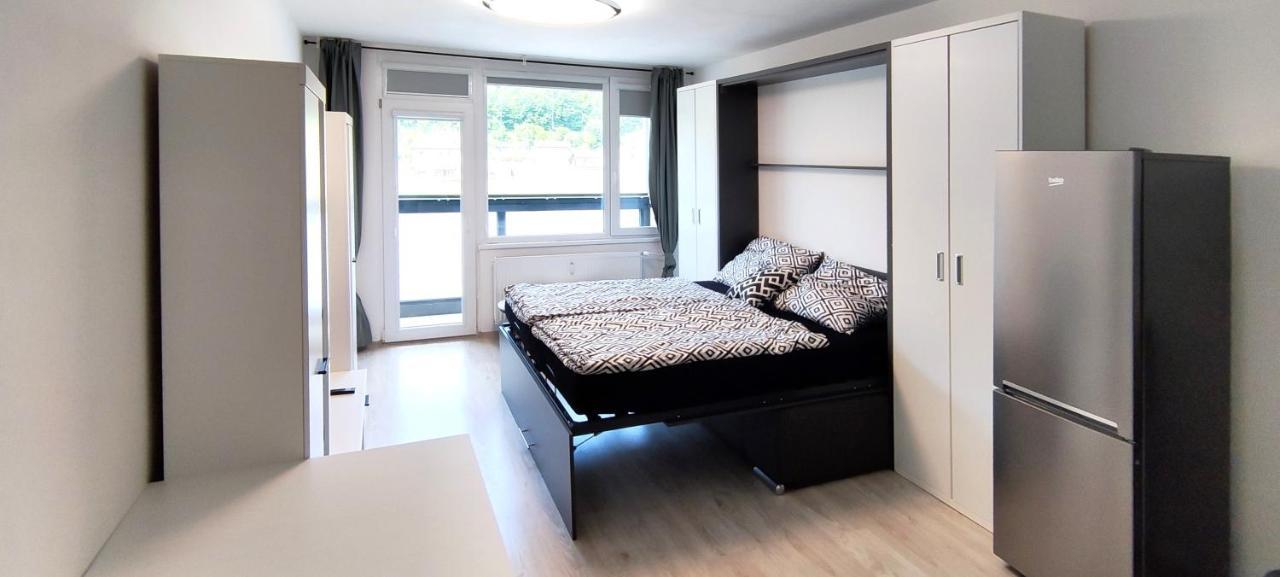 Útulný apartmán v centru, s krásným výhledem Decin Exterior foto