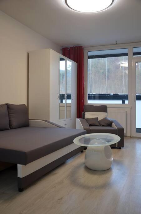 Útulný apartmán v centru, s krásným výhledem Decin Exterior foto