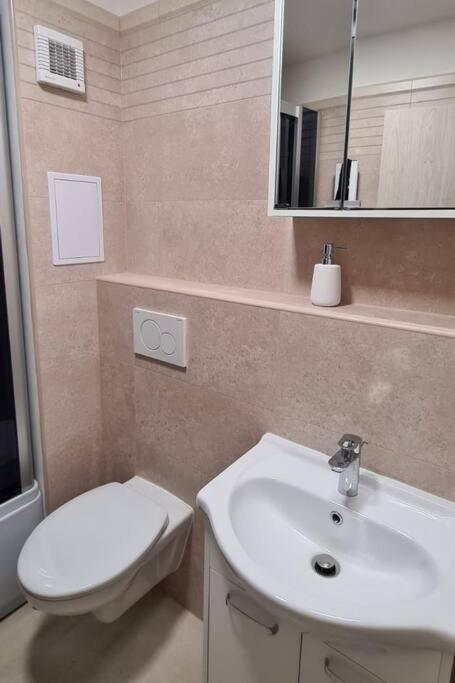 Útulný apartmán v centru, s krásným výhledem Decin Exterior foto