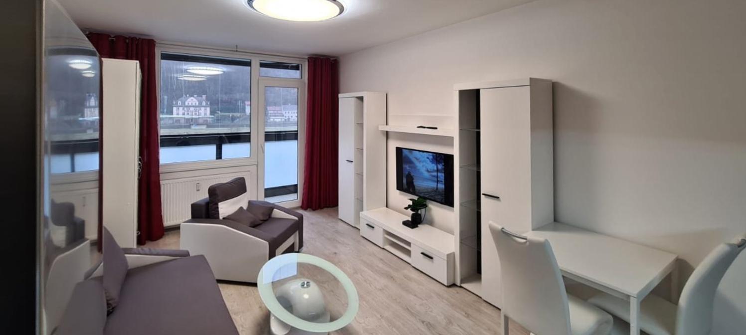Útulný apartmán v centru, s krásným výhledem Decin Exterior foto